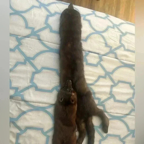 VINTAGE JOSEPH HORNE ACTUAL BODY 3 MINK STOLE - Picture 7 of 9